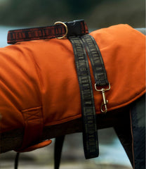 L.L.Bean For Sale | & Noah Kahan Novelty Dog Leash