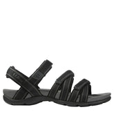 Black,6